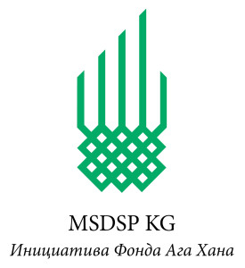 msdsp_logo_ru